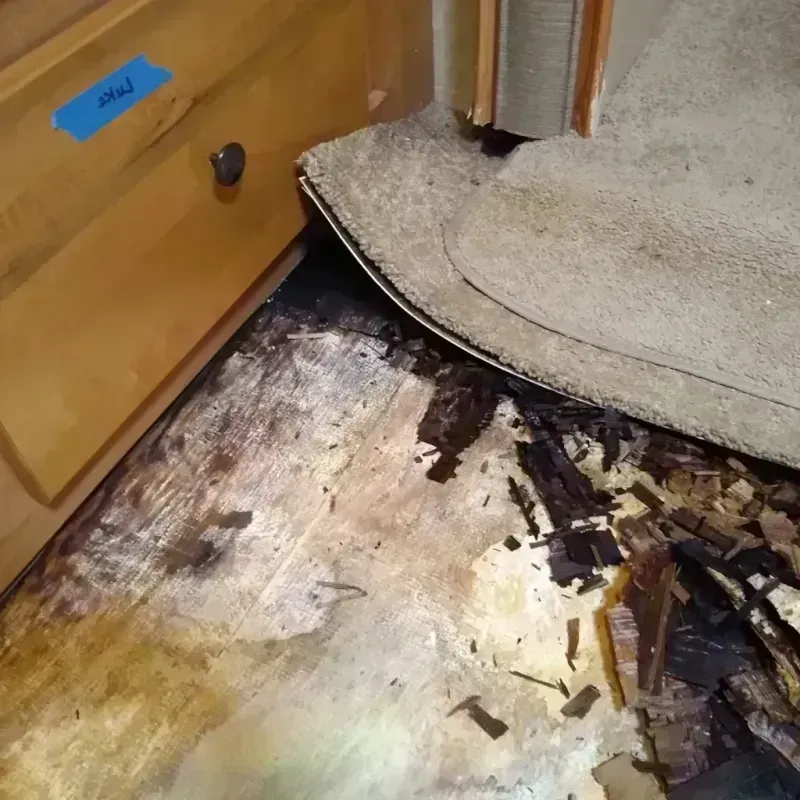 Best Wood Floor Water Damage Service in Berrien County, GA